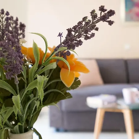 In A Charming Beachfront Studio In Chania Апартаменты Ханья